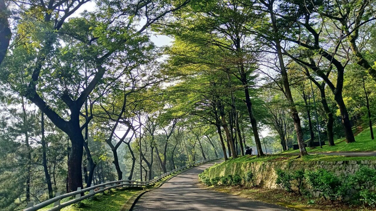 tempat jogging bsd - rekomendasi tempat jogging di bsd - tempat olahraga di bsd